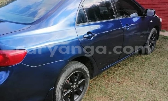 Nunua Ilio tumika Toyota Corolla Blue Gari ndani ya Blantyre nchini Malawi Nunua Ilio tumika Toyota Corolla Blue Gari ndani ya Blantyre nchini Malawi
