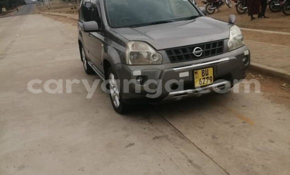 Nunua Ilio tumika Nissan X–Trail Brown Gari ndani ya Blantyre nchini Malawi Nunua Ilio tumika Nissan X–Trail Brown Gari ndani ya Blantyre nchini Malawi