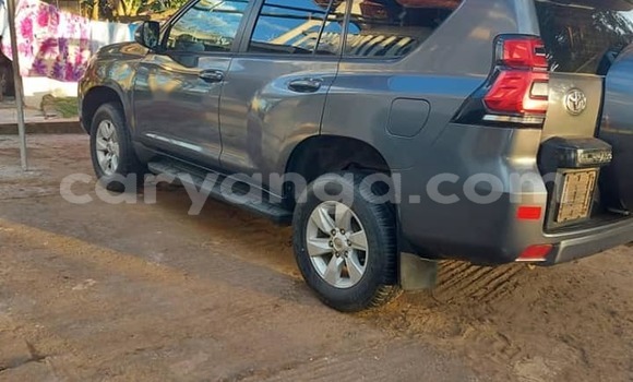 Nunua Ilio tumika Toyota Land Cruiser Prado Other Gari ndani ya Blantyre nchini Malawi Nunua Ilio tumika Toyota Land Cruiser Prado Other Gari ndani ya Blantyre nchini Malawi