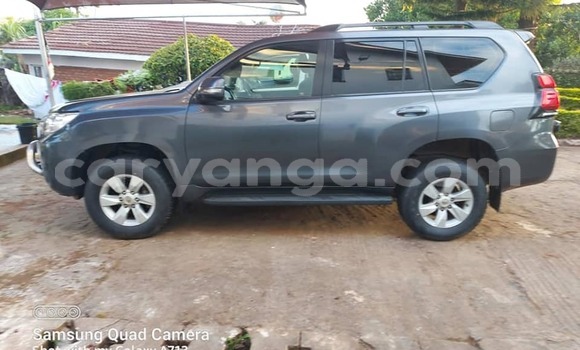 Nunua Ilio tumika Toyota Land Cruiser Prado Other Gari ndani ya Blantyre nchini Malawi Nunua Ilio tumika Toyota Land Cruiser Prado Other Gari ndani ya Blantyre nchini Malawi