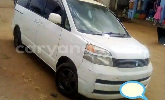 Buy Used Toyota Voxy White Car in Blantyre in Malawi Buy Used Toyota Voxy White Car in Blantyre in Malawi