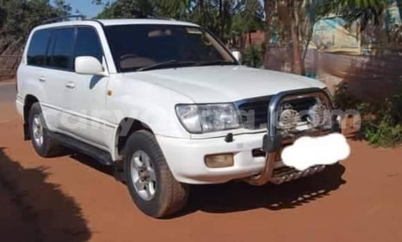 Buy Used Toyota Land Cruiser White Car in Lilongwe in Malawi Buy Used Toyota Land Cruiser White Car in Lilongwe in Malawi