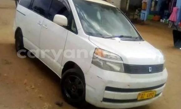Buy Used Toyota Voxy White Car in Blantyre in Malawi Buy Used Toyota Voxy White Car in Blantyre in Malawi