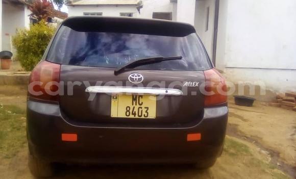 Buy Used Toyota Allex Black Car in Blantyre in Malawi Buy Used Toyota Allex Black Car in Blantyre in Malawi
