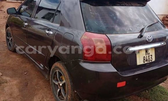 Buy Used Toyota Allex Black Car in Blantyre in Malawi Buy Used Toyota Allex Black Car in Blantyre in Malawi