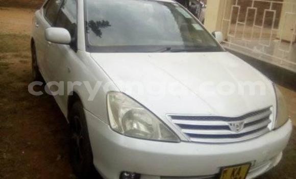 Buy Used Toyota Allion White Car in Blantyre in Malawi Buy Used Toyota Allion White Car in Blantyre in Malawi