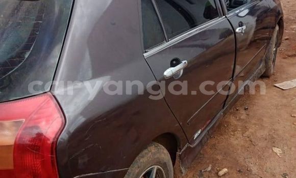 Buy Used Toyota Allex Black Car in Blantyre in Malawi Buy Used Toyota Allex Black Car in Blantyre in Malawi