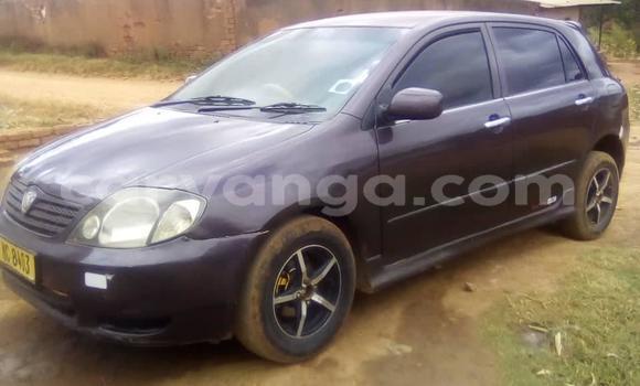 Buy Used Toyota Allex Black Car in Blantyre in Malawi Buy Used Toyota Allex Black Car in Blantyre in Malawi