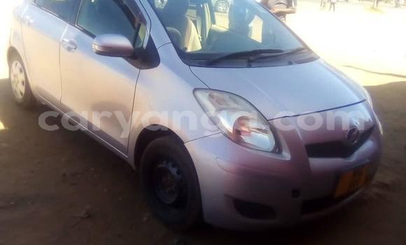 Buy Used Toyota Vitz Silver Car in Blantyre in Malawi Buy Used Toyota Vitz Silver Car in Blantyre in Malawi