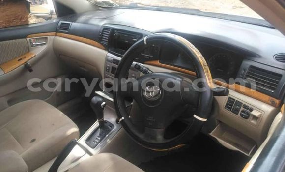 Nunua Ilio tumika Toyota Runx Silver Gari ndani ya Blantyre nchini Malawi Nunua Ilio tumika Toyota Runx Silver Gari ndani ya Blantyre nchini Malawi