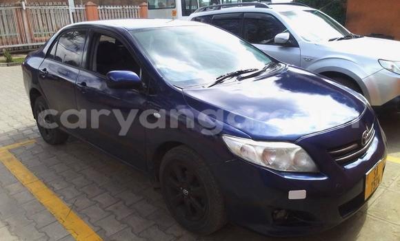Nunua Ilio tumika Toyota Corolla Blue Gari ndani ya Blantyre nchini Malawi Nunua Ilio tumika Toyota Corolla Blue Gari ndani ya Blantyre nchini Malawi