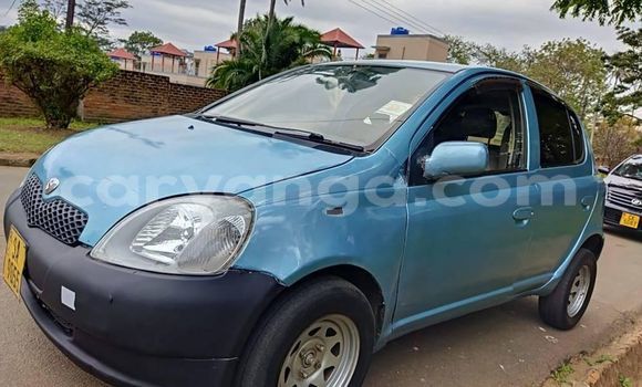 Buy Used Toyota Vitz Blue Car in Blantyre in Malawi Buy Used Toyota Vitz Blue Car in Blantyre in Malawi