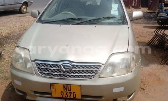 Nunua Ilio tumika Toyota Fielder Brown Gari ndani ya Blantyre nchini Malawi Nunua Ilio tumika Toyota Fielder Brown Gari ndani ya Blantyre nchini Malawi