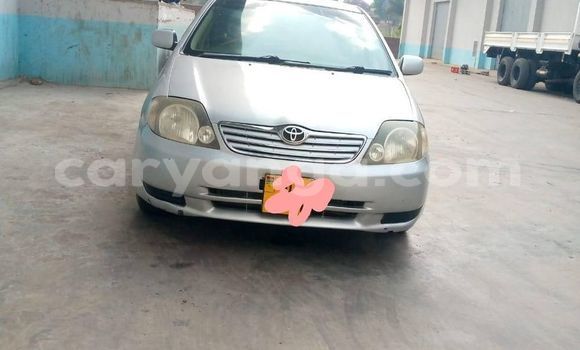 Nunua Ilio tumika Toyota Runx Silver Gari ndani ya Blantyre nchini Malawi Nunua Ilio tumika Toyota Runx Silver Gari ndani ya Blantyre nchini Malawi