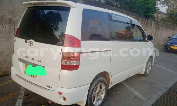 Buy Used Toyota Noah White Car in Blantyre in Malawi