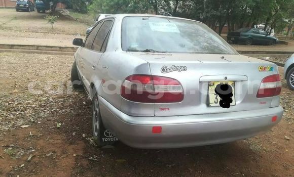 Buy Used Toyota Corolla Silver Car in Zomba in Malawi Buy Used Toyota Corolla Silver Car in Zomba in Malawi