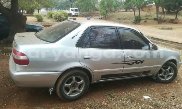 Buy Used Toyota Corolla Silver Car in Zomba in Malawi Buy Used Toyota Corolla Silver Car in Zomba in Malawi
