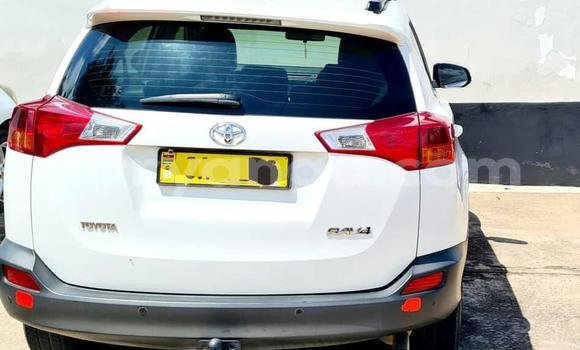 Buy Used Toyota RAV4 White Car in Blantyre in Malawi Buy Used Toyota RAV4 White Car in Blantyre in Malawi