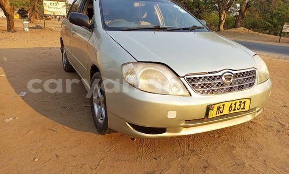 Buy Used Toyota Corolla Silver Car in Blantyre in Malawi Buy Used Toyota Corolla Silver Car in Blantyre in Malawi