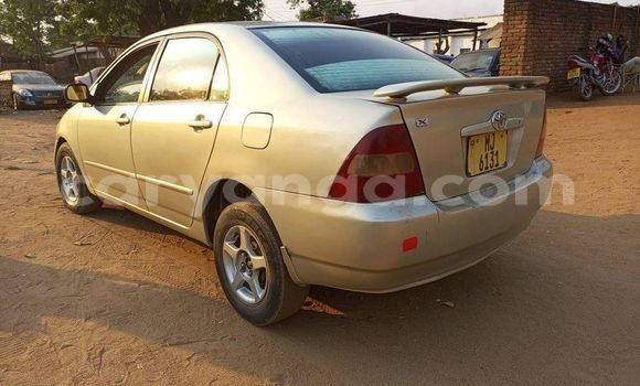 Buy Used Toyota Corolla Silver Car in Blantyre in Malawi Buy Used Toyota Corolla Silver Car in Blantyre in Malawi