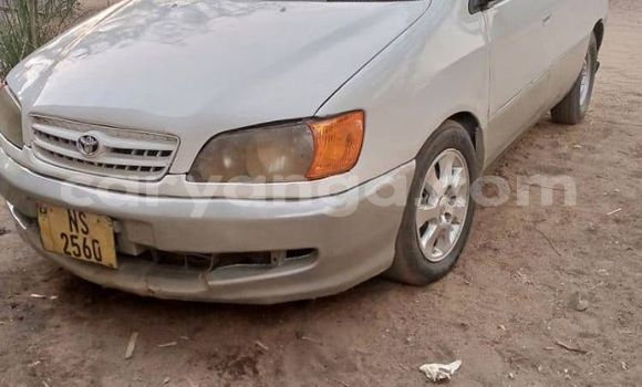 Buy Used Toyota Ipsum Silver Car in Blantyre in Malawi Buy Used Toyota Ipsum Silver Car in Blantyre in Malawi
