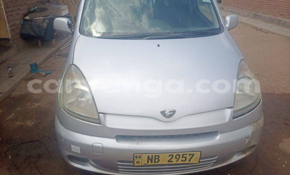 Buy Used Toyota FunCargo Silver Car in Salima in Malawi Buy Used Toyota FunCargo Silver Car in Salima in Malawi