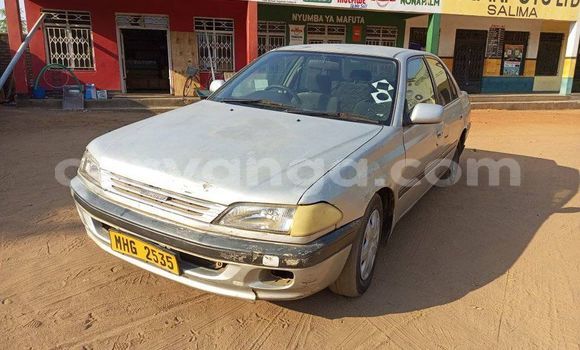 Buy Used Toyota Carina Silver Car in Salima in Malawi Buy Used Toyota Carina Silver Car in Salima in Malawi