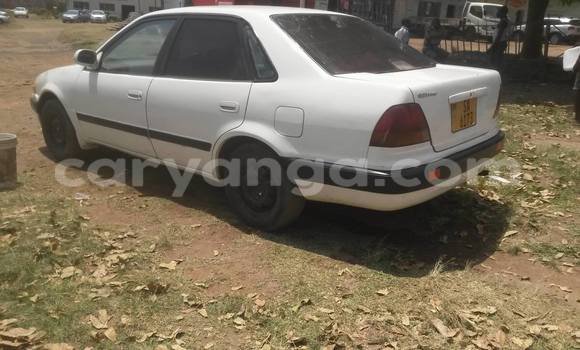 Buy Used Toyota Celica Black Car in Limbe in Malawi Buy Used Toyota Celica Black Car in Limbe in Malawi