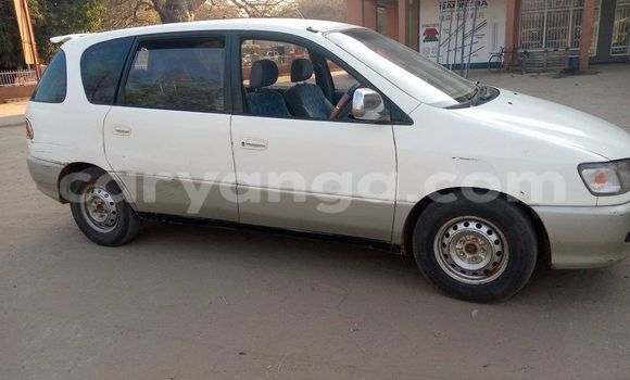 Buy Used Toyota Ipsum White Car in Salima in Malawi Buy Used Toyota Ipsum White Car in Salima in Malawi