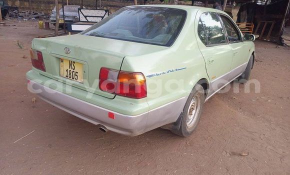 Buy Used Toyota Camry Green Car in Salima in Malawi Buy Used Toyota Camry Green Car in Salima in Malawi