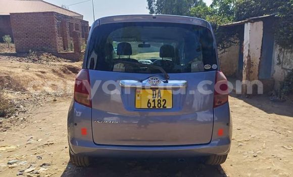 Buy Used Toyota Ractis Blue Car in Blantyre in Malawi Buy Used Toyota Ractis Blue Car in Blantyre in Malawi
