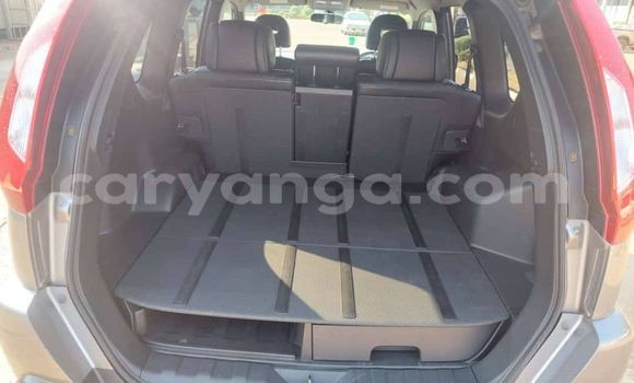Acheter Occasion Voiture Nissan X–Trail Marron à Blantyre, Malawi Acheter Occasion Voiture Nissan X–Trail Marron à Blantyre, Malawi