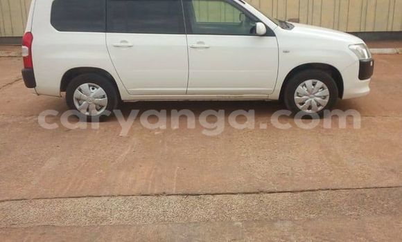 Acheter Occasion Voiture Toyota Probox Blanc à Blantyre, Malawi Acheter Occasion Voiture Toyota Probox Blanc à Blantyre, Malawi