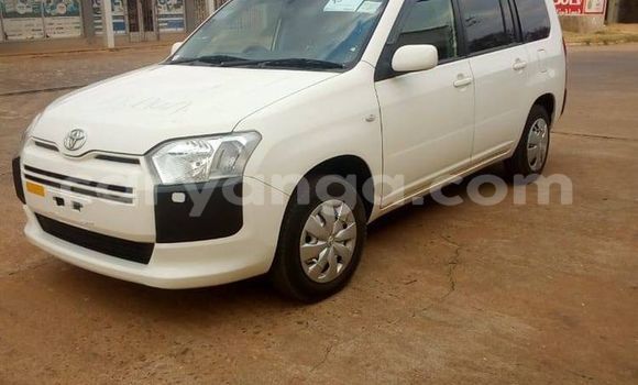 Acheter Occasion Voiture Toyota Probox Blanc à Blantyre, Malawi Acheter Occasion Voiture Toyota Probox Blanc à Blantyre, Malawi