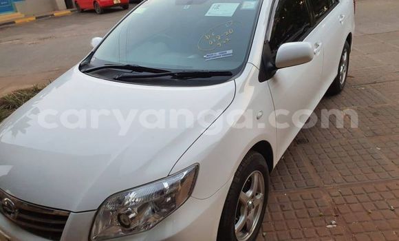 Nunua Ilio tumika Toyota Axio White Gari ndani ya Blantyre nchini Malawi Nunua Ilio tumika Toyota Axio White Gari ndani ya Blantyre nchini Malawi