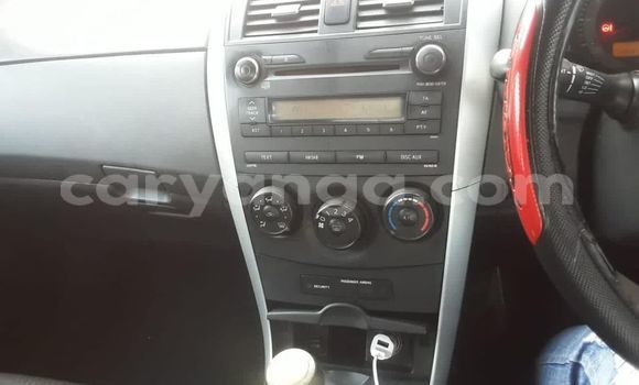 Buy Used Toyota Corolla Silver Car in Lilongwe in Malawi Buy Used Toyota Corolla Silver Car in Lilongwe in Malawi