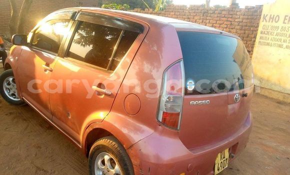 Buy Used Toyota Passo Red Car in Kasungu in Malawi Buy Used Toyota Passo Red Car in Kasungu in Malawi