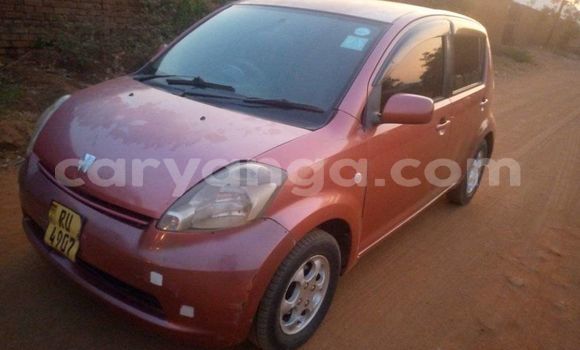 Buy Used Toyota Passo Red Car in Kasungu in Malawi Buy Used Toyota Passo Red Car in Kasungu in Malawi