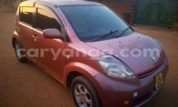Buy Used Toyota Passo Red Car in Kasungu in Malawi Buy Used Toyota Passo Red Car in Kasungu in Malawi
