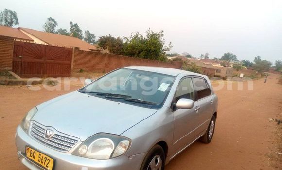 Buy Used Toyota Allex Silver Car in Kasungu in Malawi Buy Used Toyota Allex Silver Car in Kasungu in Malawi