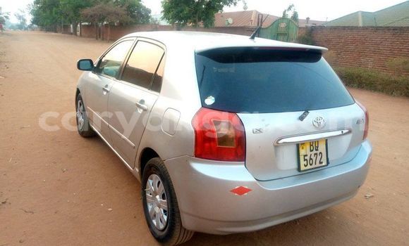 Buy Used Toyota Allex Silver Car in Kasungu in Malawi Buy Used Toyota Allex Silver Car in Kasungu in Malawi