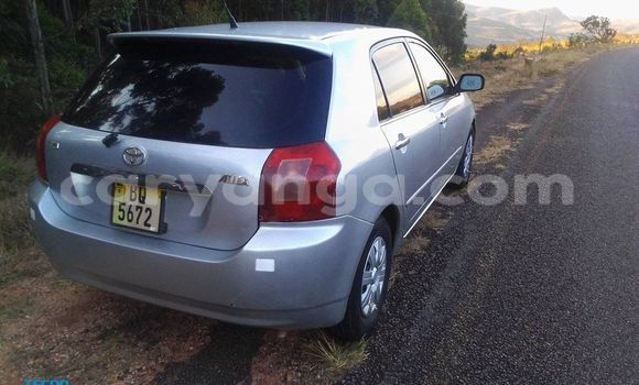 Buy Used Toyota Allex Silver Car in Kasungu in Malawi Buy Used Toyota Allex Silver Car in Kasungu in Malawi