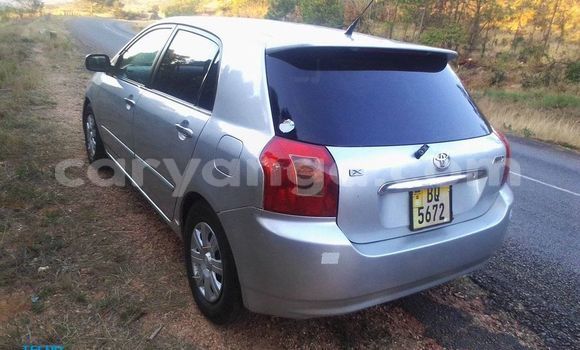Buy Used Toyota Allex Silver Car in Kasungu in Malawi Buy Used Toyota Allex Silver Car in Kasungu in Malawi