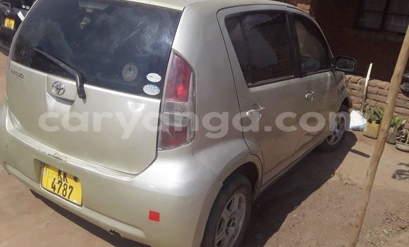 Buy Used Toyota Passo Beige Car in Kasungu in Malawi Buy Used Toyota Passo Beige Car in Kasungu in Malawi