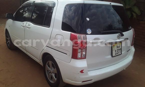 Buy Used Toyota Raum White Car in Kasungu in Malawi Buy Used Toyota Raum White Car in Kasungu in Malawi