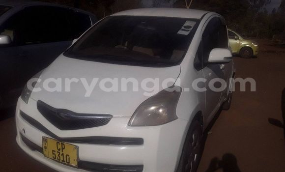 Buy Used Toyota Ractis White Car in Kasungu in Malawi Buy Used Toyota Ractis White Car in Kasungu in Malawi