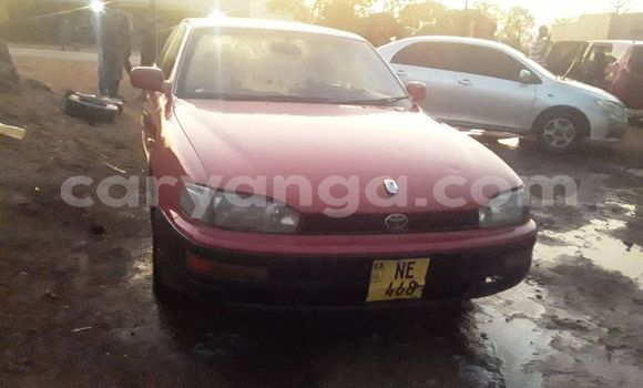 Buy Used Toyota Camry Red Car in Kasungu in Malawi Buy Used Toyota Camry Red Car in Kasungu in Malawi