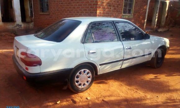 Buy Used Toyota Corolla White Car in Kasungu in Malawi Buy Used Toyota Corolla White Car in Kasungu in Malawi