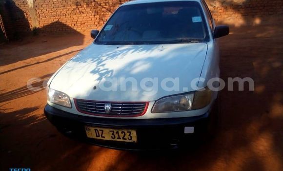 Buy Used Toyota Corolla White Car in Kasungu in Malawi Buy Used Toyota Corolla White Car in Kasungu in Malawi