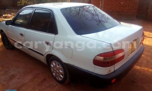 Buy Used Toyota Corolla White Car in Kasungu in Malawi Buy Used Toyota Corolla White Car in Kasungu in Malawi